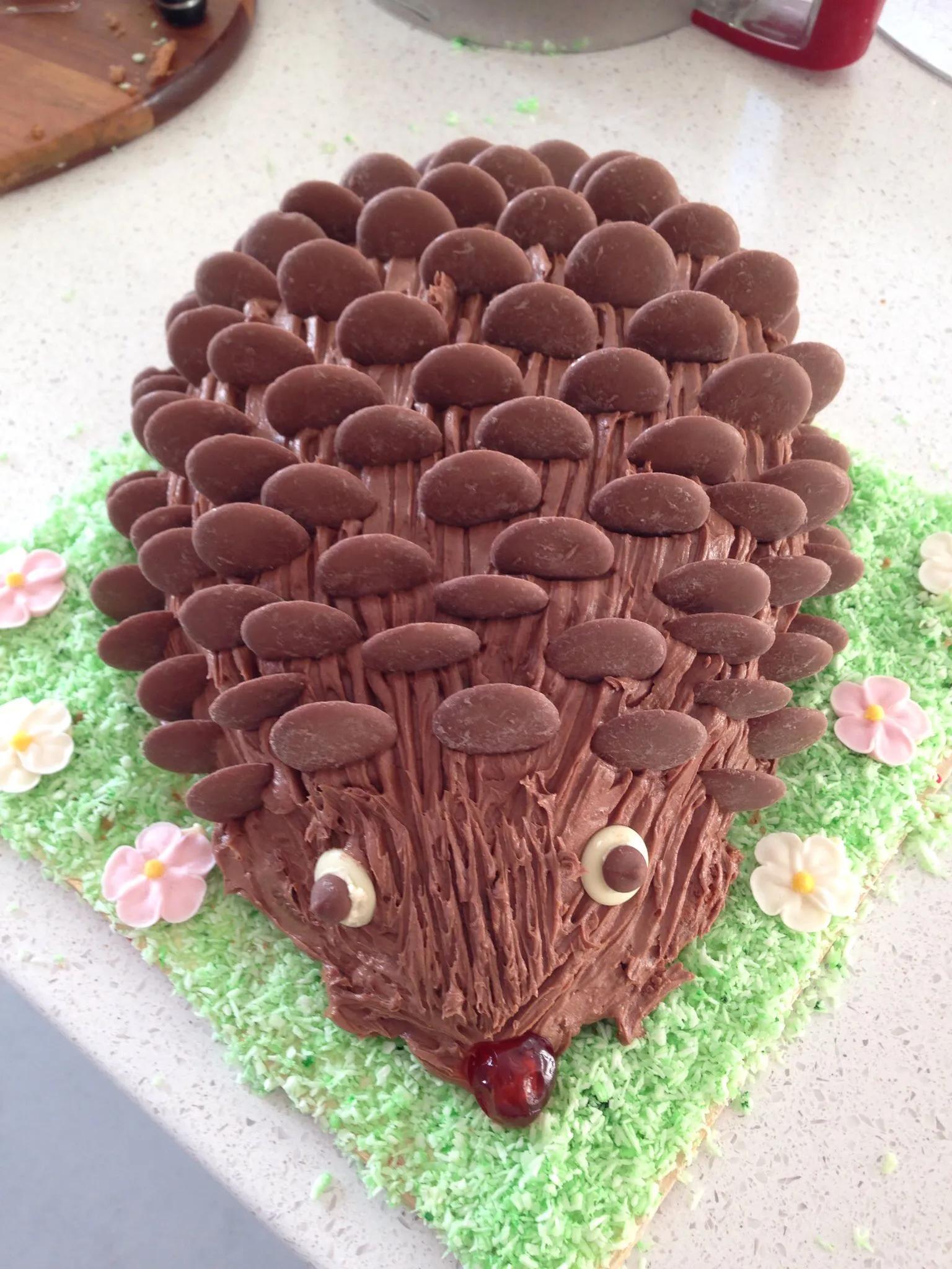 Pin on Hedgehog cakes