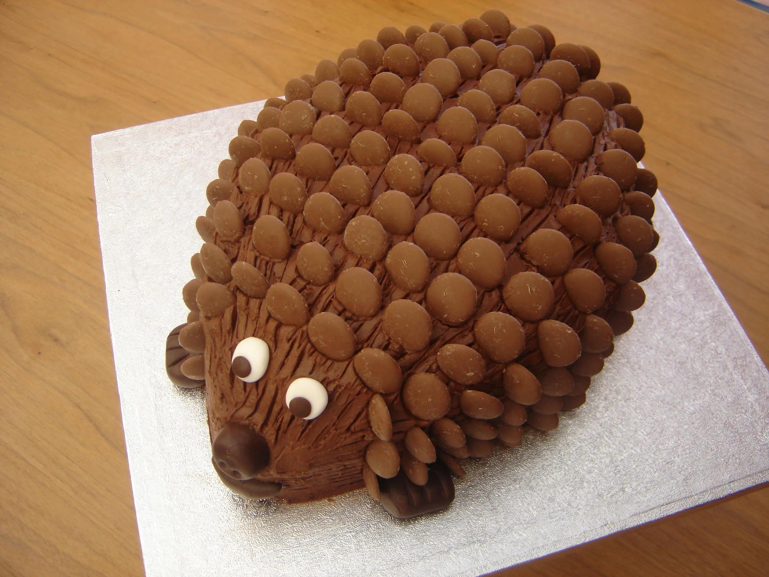 Hedgehog cake | Hedgehog cake, Chocolate button cake, Childrens ...
