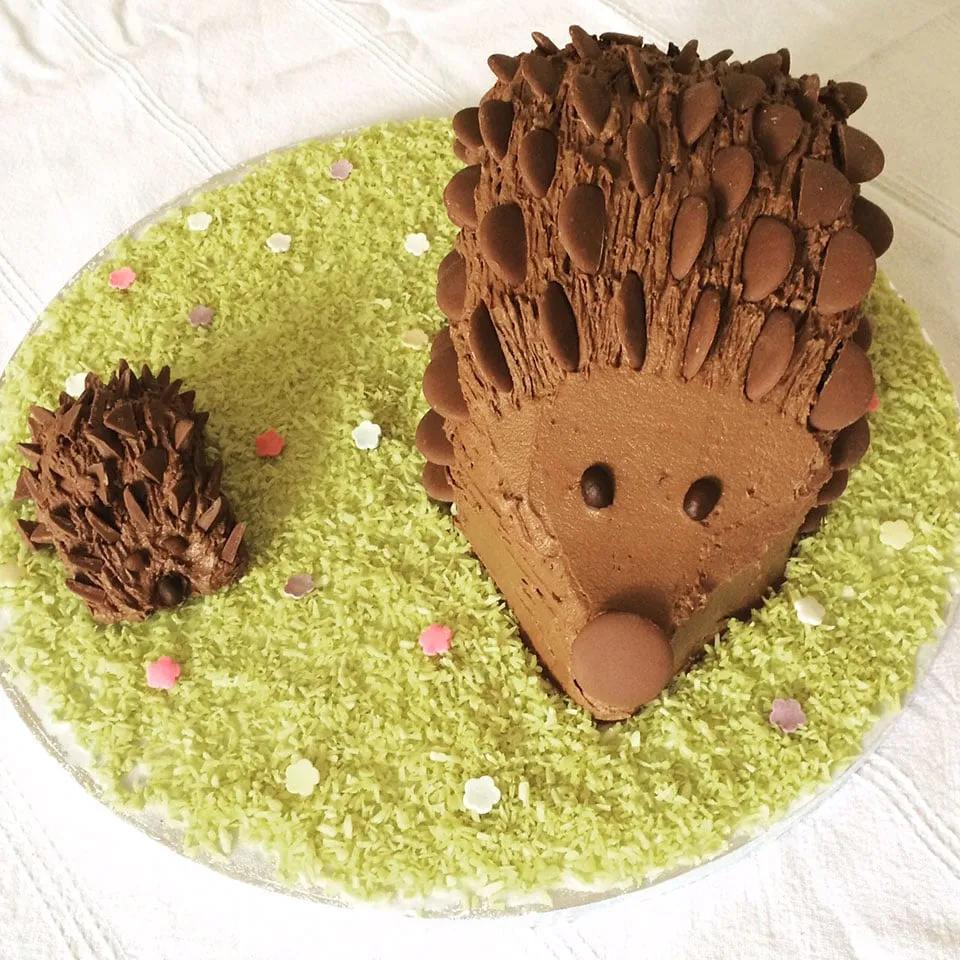 How to make a chocolate hedgehog cake - delicious. magazine