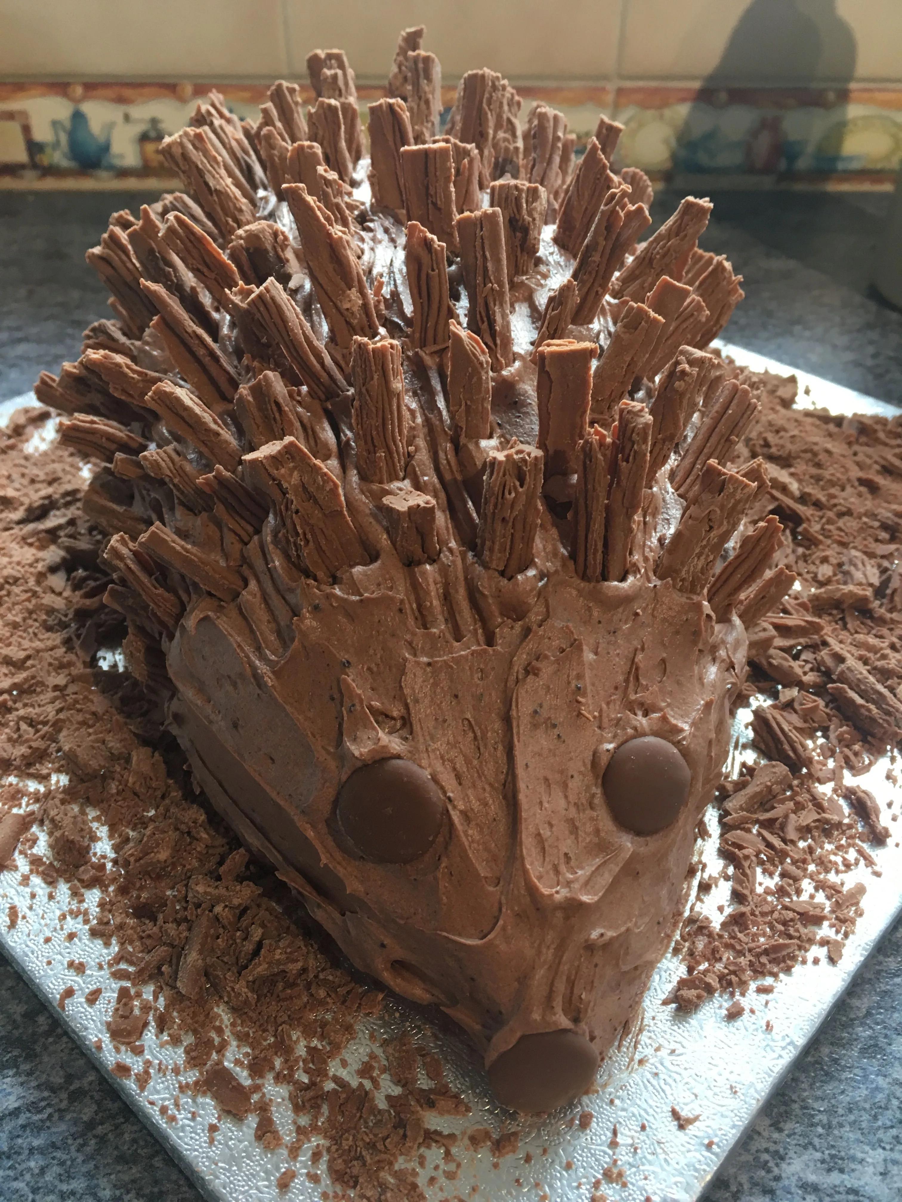 Chocolate hedgehog cake 🦔 | Hedgehog cake, Desserts, Cake