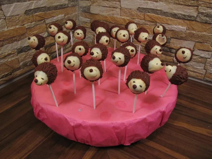 Hedgehog Pops - CakeCentral.com