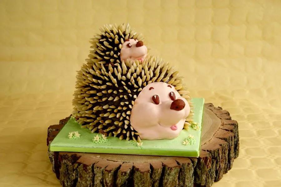 Hedgehogs | Hedgehog cake, Cake, Hedgehog