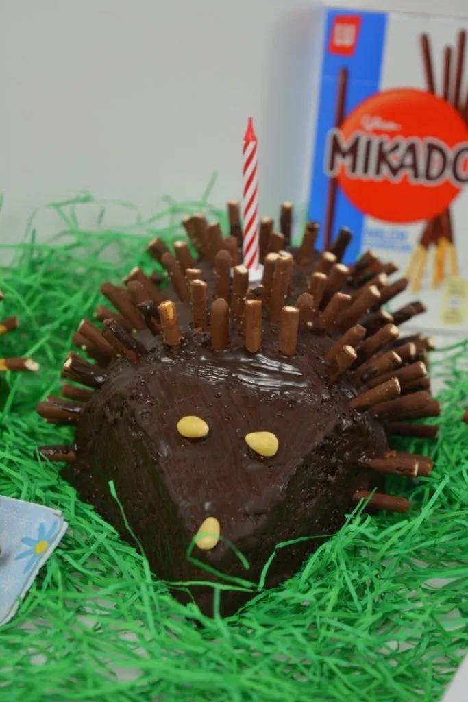 Igel Kuchen für den Kindergeburtstag | Igel-kuchen, Kuchen, Kuchen und ...