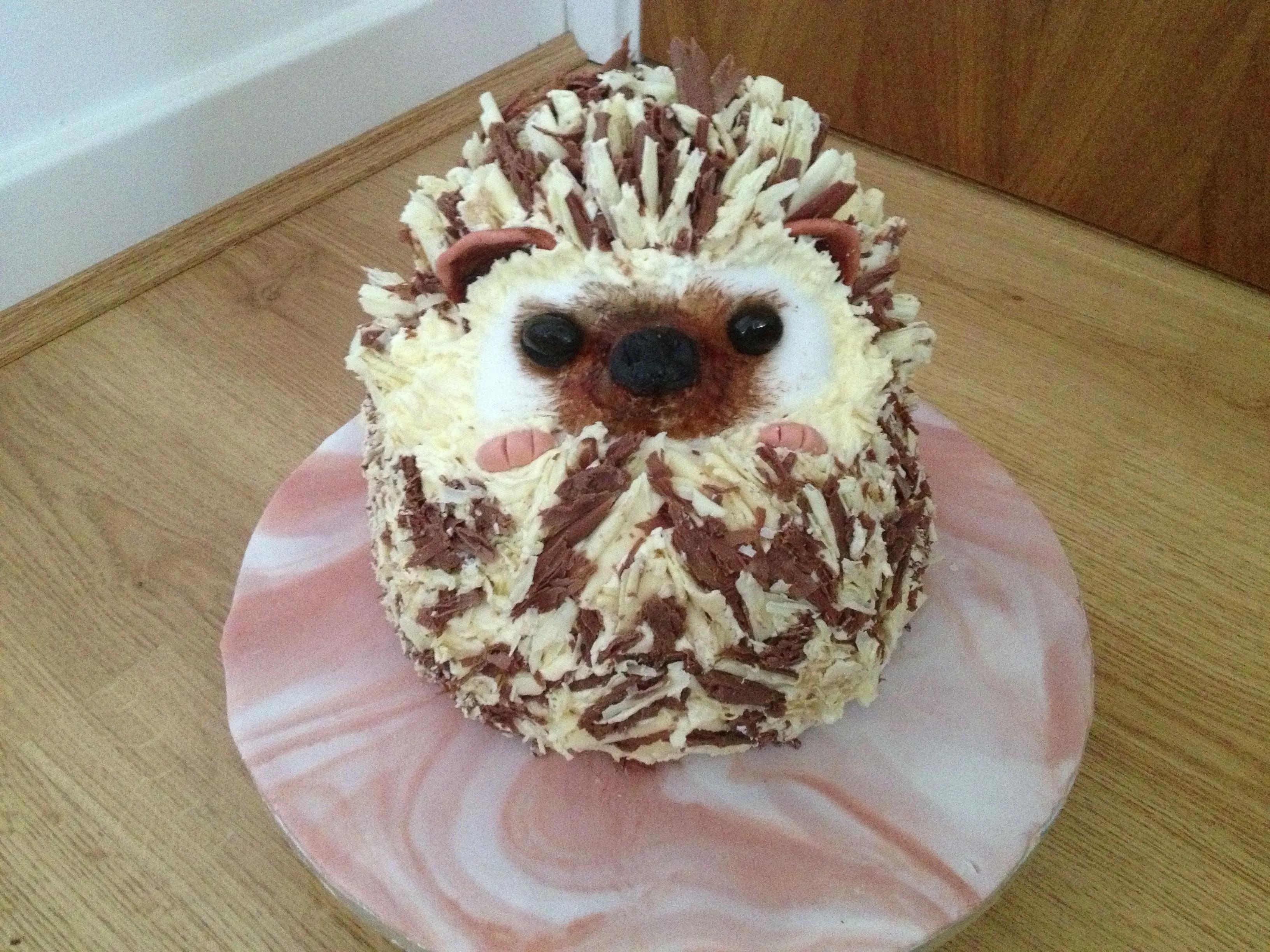 photorecipes.us | Hedgehog cake, Winter cake, Cute cakes
