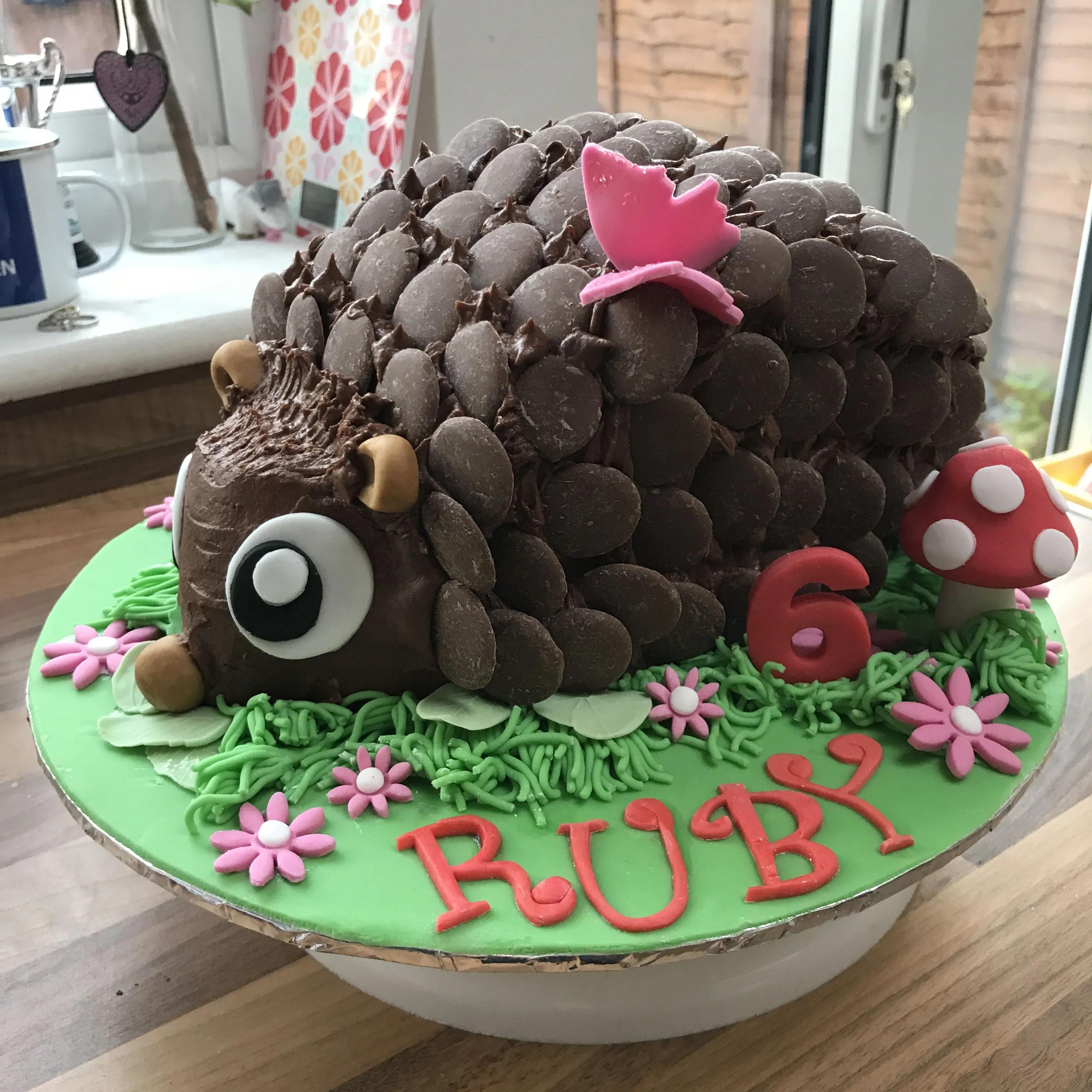 Hedgehog chocolate cake #hedgehogcake #animalencounters #wildlifecake ...