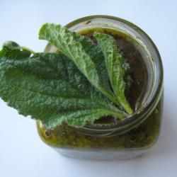 borretsch pesto