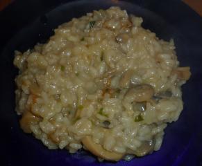 champignon risotto