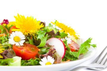 gänseblümchen löwenzahnsalat