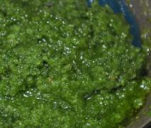 kräuterpesto