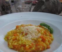 möhren risotto mit safran