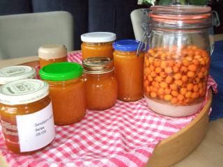 sanddorn marmelade