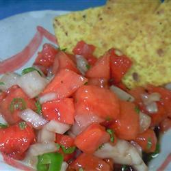 sommerliche wassermelonen salsa