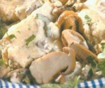 steinpilzragout mit semmelnocken