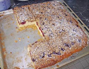 sauerkirschkuchen mit kokosbröseln